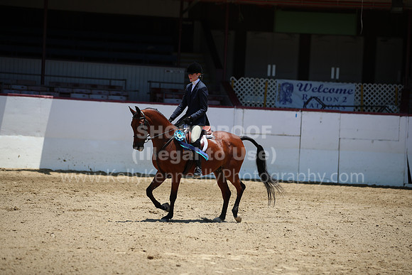 R221_CHSat_0170