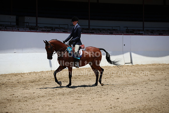 R221_CHSat_0173