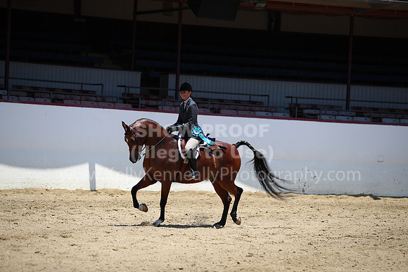 R221_CHSat_0180