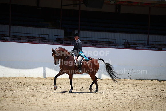 R221_CHSat_0181