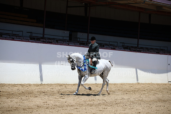 R221_CHSat_0219