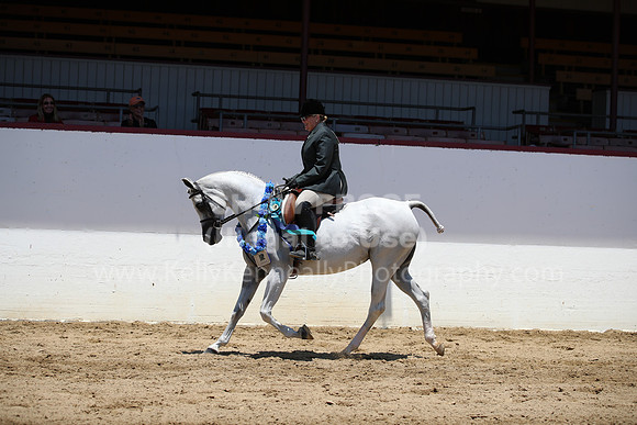 R221_CHSat_0227