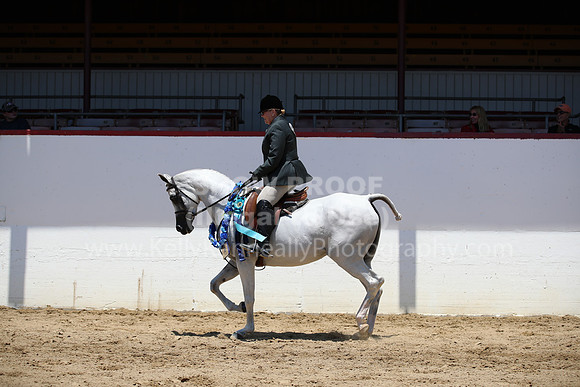 R221_CHSat_0231