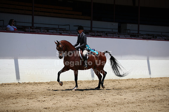 R221_CHSat_0184