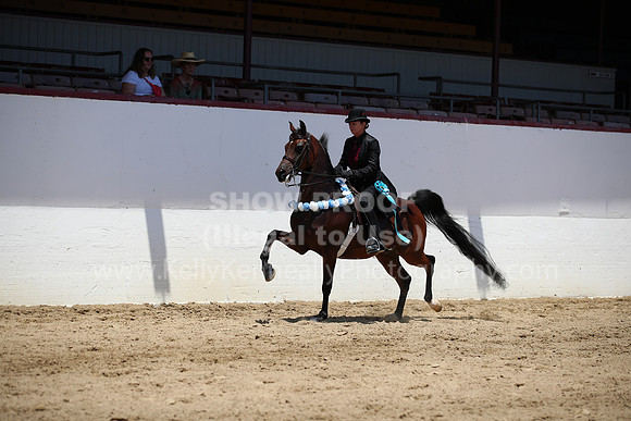 R221_CHSat_0278