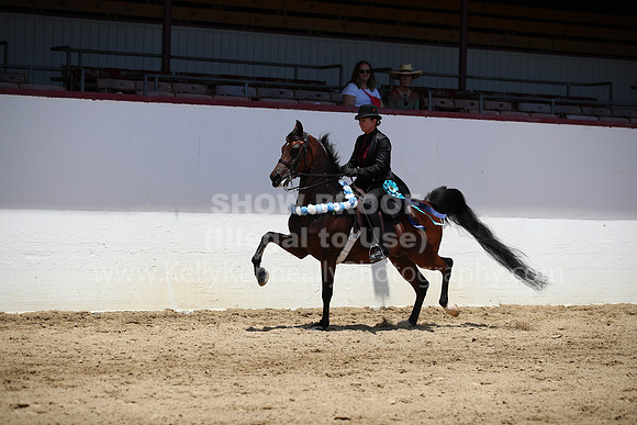 R221_CHSat_0281