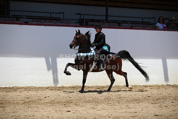 R221_CHSat_0283