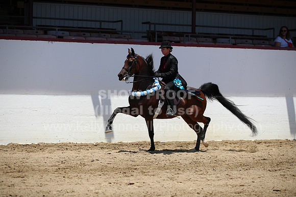 R221_CHSat_0284