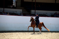 R221_CHSat_0472