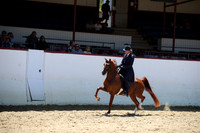 R221_CHSat_0473