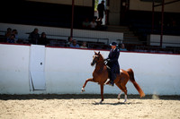 R221_CHSat_0474