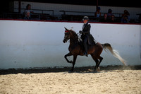 R221_CHSat_0478