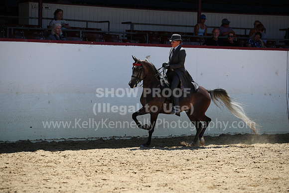 R221_CHSat_0478