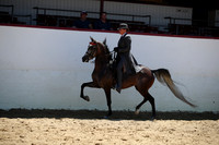 R221_CHSat_0479