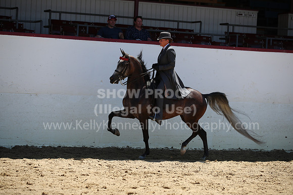 R221_CHSat_0479