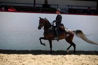 R221_CHSat_0480