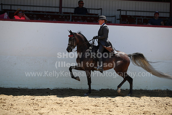 R221_CHSat_0480