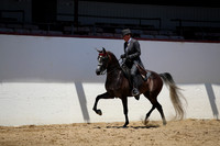 R221_CHSat_0484