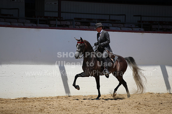 R221_CHSat_0484