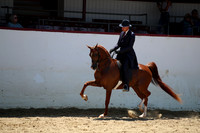 R221_CHSat_0485