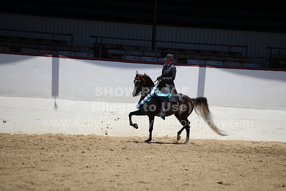 R221_CHSat_0487
