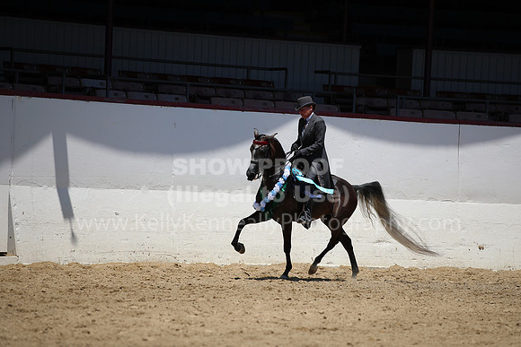 R221_CHSat_0488