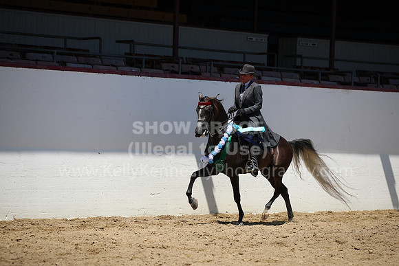 R221_CHSat_0489