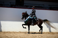 R221_CHSat_0494