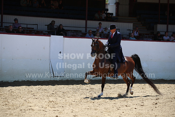R221_CHSat_8869