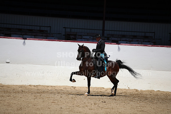 R221_CHSat_8872