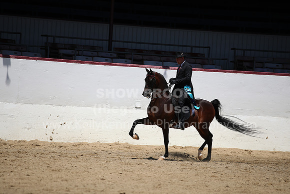 R221_CHSat_8875
