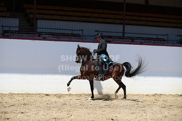 R221_CHSat_8883
