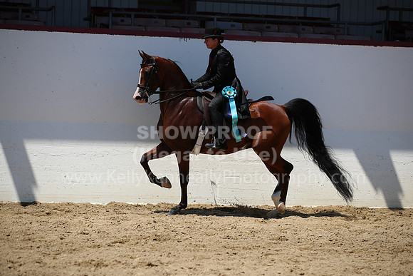 R221_CHSat_8903