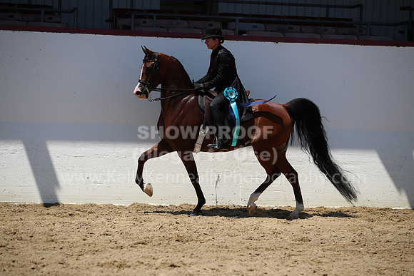 R221_CHSat_8904