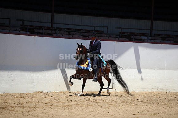 R221_CHSat_8931