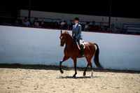 R221_CHSat_8960