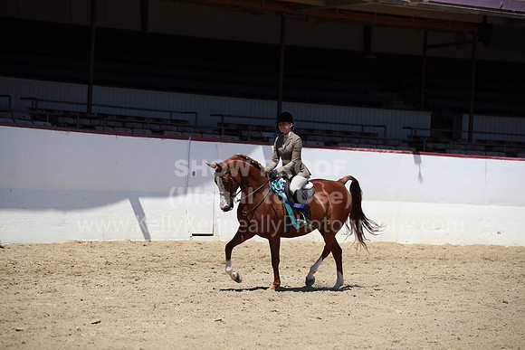R221_CHSat_8979