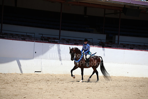 R221_CHSat_9028