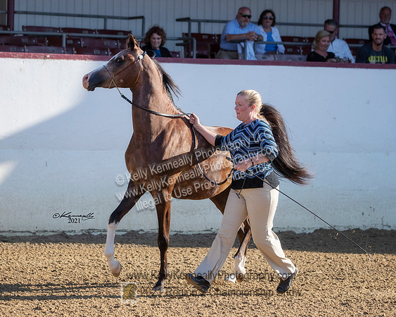 Kenneally_R221_9216