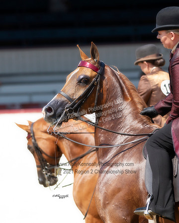Kenneally_R221_CH_B_1049
