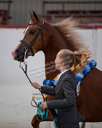 KenneallyR221_CH_6061