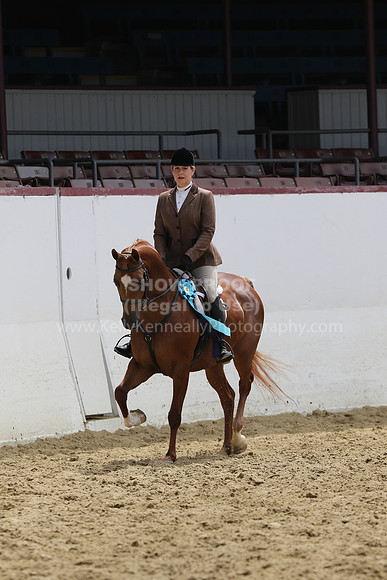R221_CH_B_5355