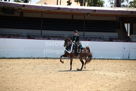 R221_CH_7552
