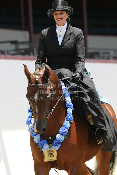 R221_CH_B_7631