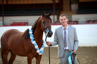 Class 327-337 Halter Championships
