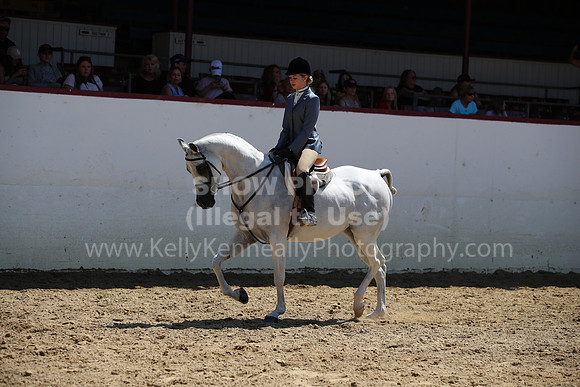 R221_CH_8349