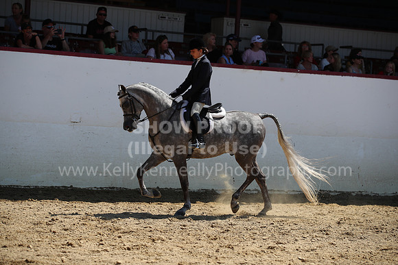 R221_CH_8364