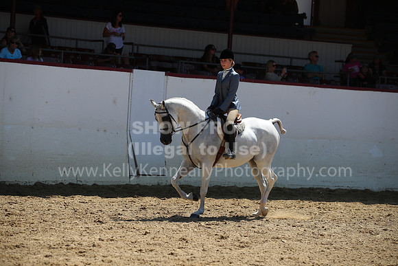 R221_CH_8366