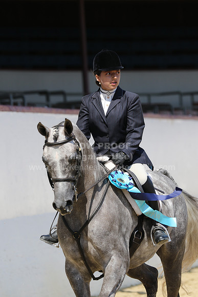 R221_CH_B_7909