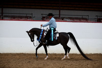 R221_CH_9368